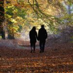 Een herfstdip voorkomen met een boswandeling: de mooiste bossen op een rij