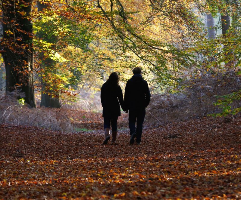 Een herfstdip voorkomen met een boswandeling: de mooiste bossen op een rij