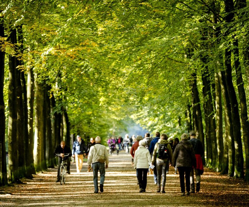 Zondag wereldwandeldag: de mooiste wandelingen ter inspiratie