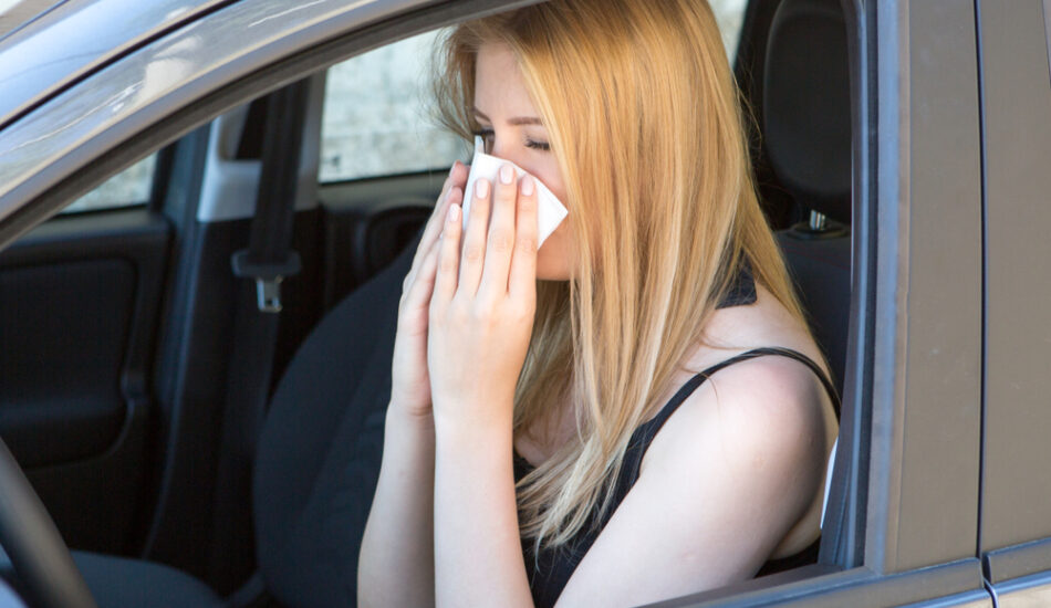 Een vrouw heeft last van hooikoorts terwijl ze een auto bestuurt.