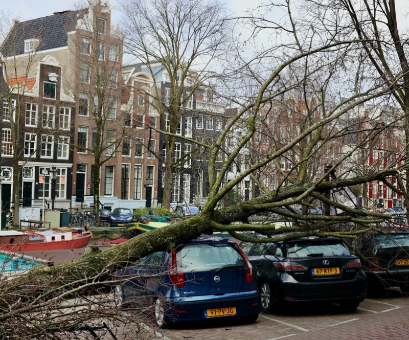 Storm en toch de deur uit? Zo ga je goed voorbereid op weg