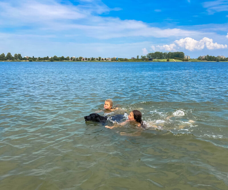 Zwemmen in open water? Let hierop voordat je erin duikt