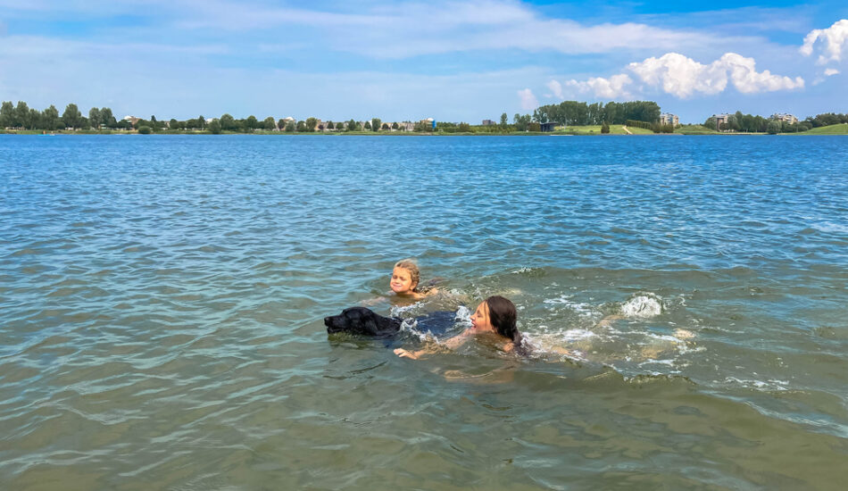 zwemmen in open water - Shutterstock