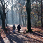 Dit zijn 5 mooie routes voor een stiltewandeling in Nederland