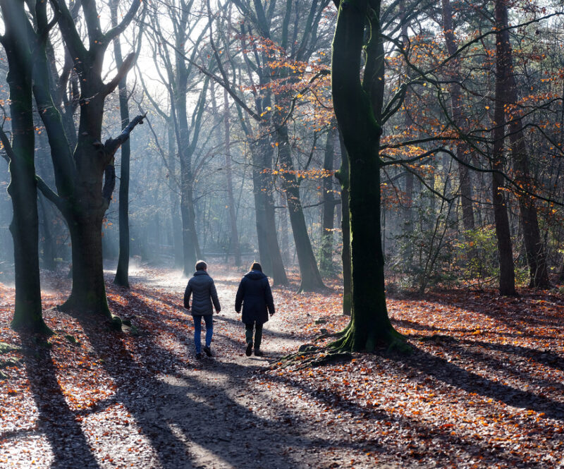 Dit zijn 5 mooie routes voor een stiltewandeling in Nederland