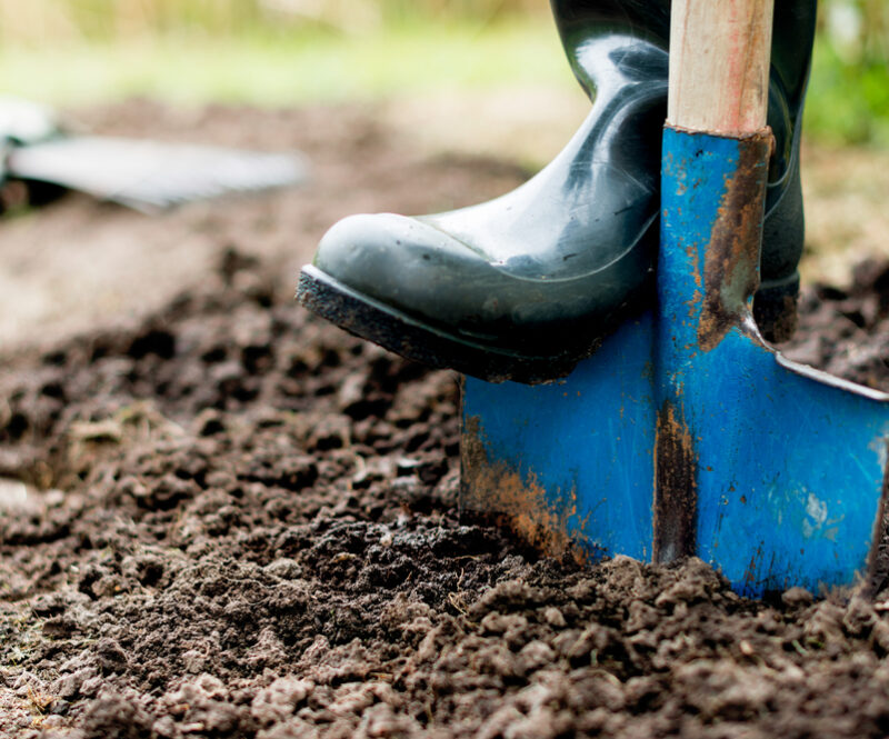 Houd jij van de natuur? Help een handje mee op 3 en 4 november tijdens de Natuurwerkdagen, om jouw omgeving mooi te houden