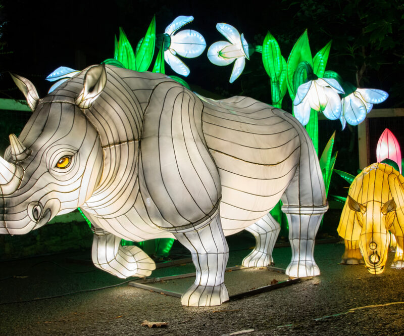 Light Safari of Light Nights: in steeds meer dierentuinen kun je ’s avonds lichtdieren bewonderen